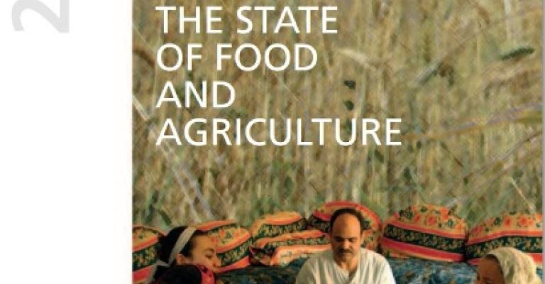 28% من الأطفال يعانون نقصا بالأنيميا.. وانتشار السمنة بين 34% من البالغين