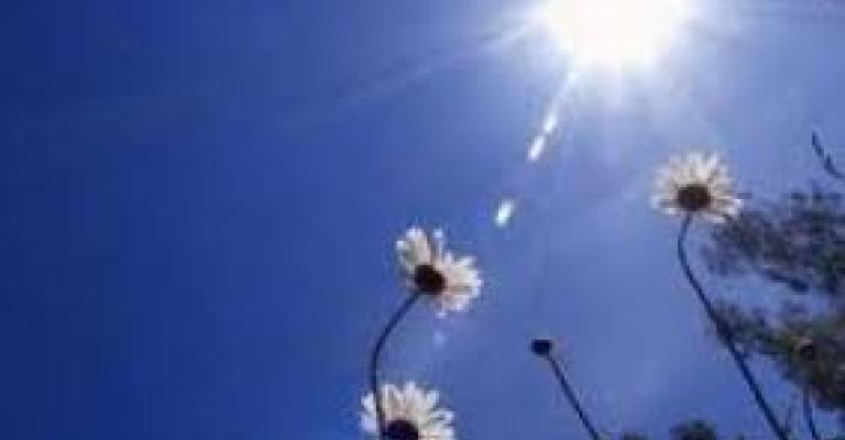 أجواء معتدلة الأيام المقبلة أجواء معتدلة الأيام المقبلة