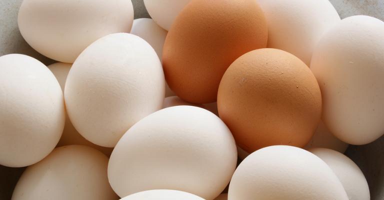 توقعات بانخفاض أسعار البيض