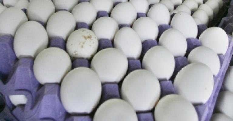 دعوة لإلغاء تسعيرة بيض المائدة لانخفاض الأسعار