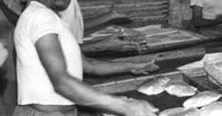 "من الدفّ وجوّه"