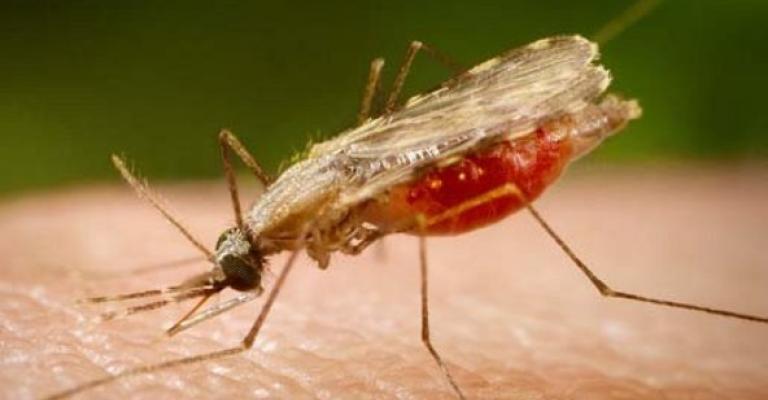 الأردن يسجل 80 إصابة غير محلية بالملاريا سنوياً