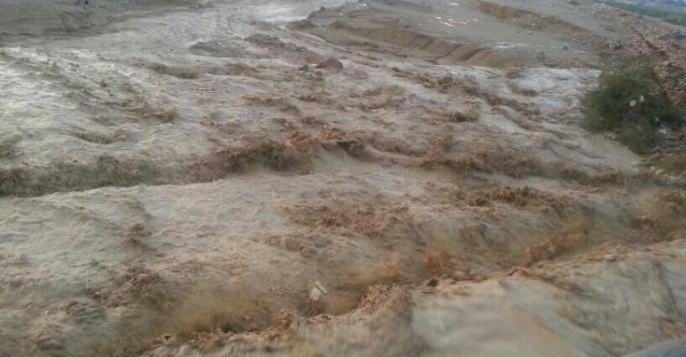 غور الصافي: السيول تداهم 20 منزلاً