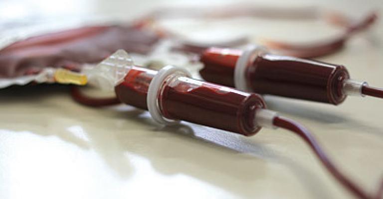 فحوصات ما قبل الزواج تخفض اصابات الثلاسيميا إلى النصف