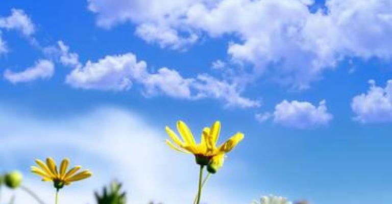 أجواء ربيعية وانخفاض طفيف على الحرارة السبت