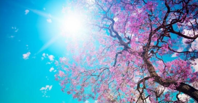 طقس ربيعي معتدل حتى الثلاثاء القادم 