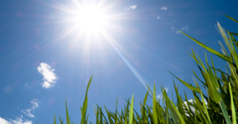 أجواء ربيعية والعظمى في عمان 26 درجة