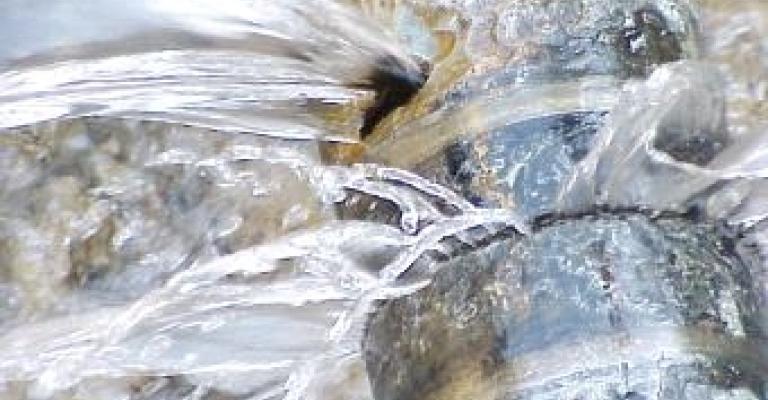 انقطاع واسع للمياه بالكرك بعد اطلاق النار على الناقل الرئيسي