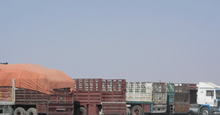 العراق تفتح أسواقها للخضار الأردنية بعد توقفها لأيام