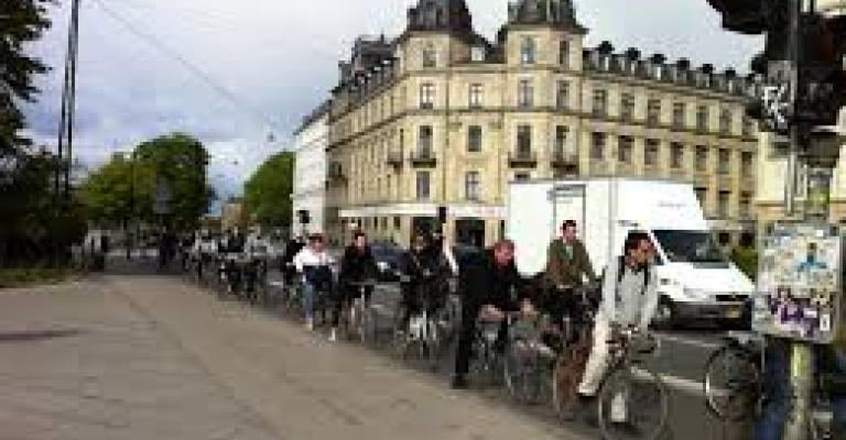 عصافير كثيرة