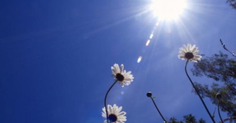 أجواء معتدلة والعظمى في عمان 30 درجة