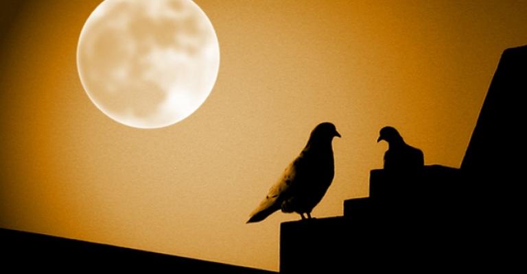 قمر الحصادين يضيء سماء الأردن الاثنين