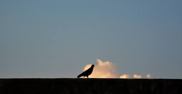 طقس لطيف حتى الاربعاء