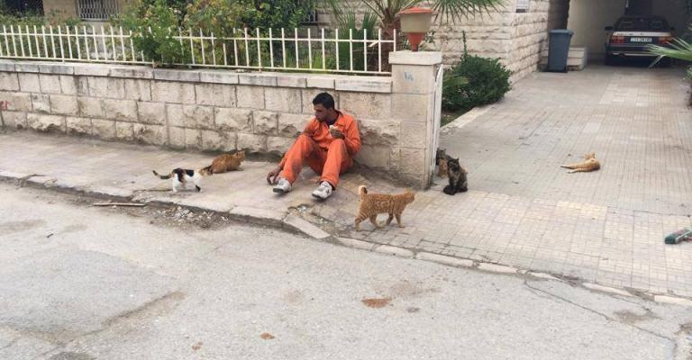 عامل وطن يطعم عدداً من القطط في عمّان - من صفحة حسام عواد