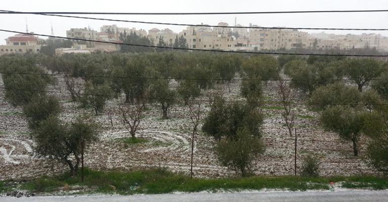 أجواء غائمة وباردة جداً واستمرار تساقط الثلوج على ارتفاع 700 متر