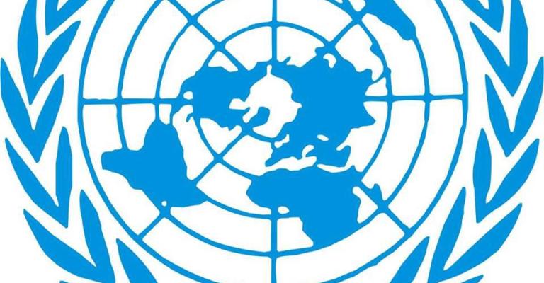 مسؤولان امميان: مقتل الطيار الكساسبة جريمة حرب