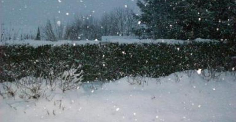 طقس بارد و ثلوج على المرتفعات