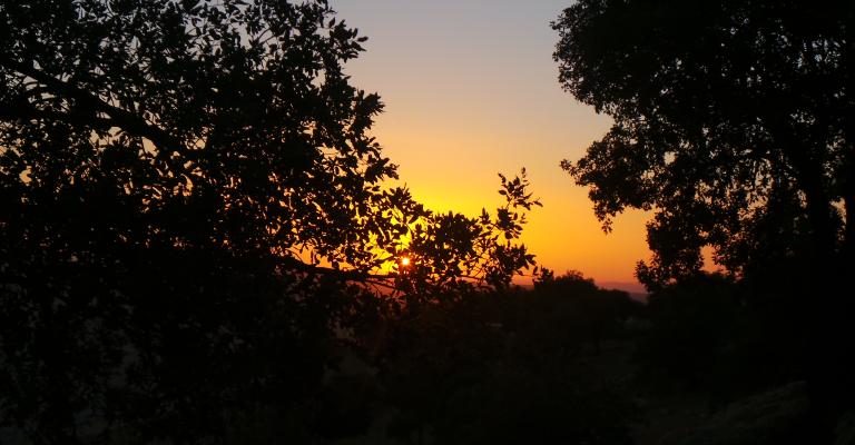 ارتفاع على درجات الحراة الخميس والجمعة