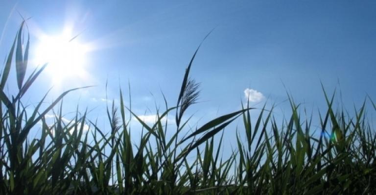 طقس دافئ وأمطار الأربعاء