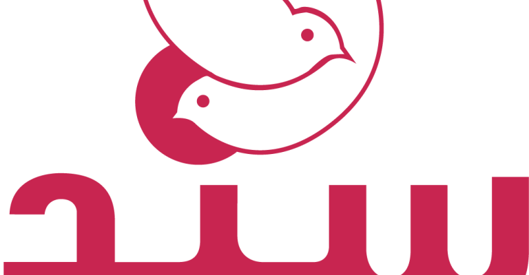 "سند": مقتل 9 إعلاميين في العراق وليبيا وتصاعد في الانتهاكات الواقعة على الإعلاميين