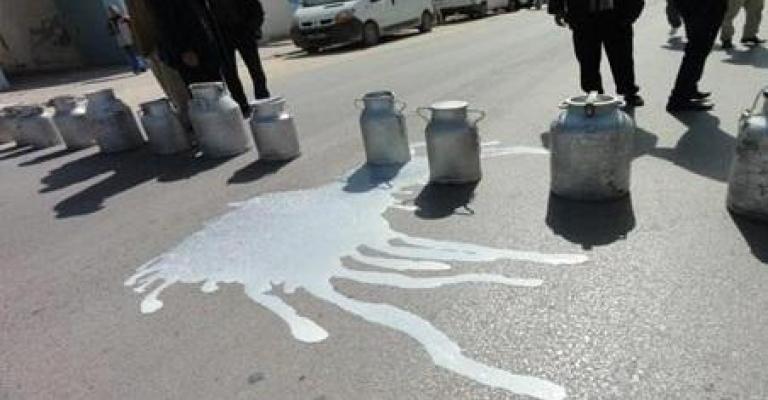 اعتصام لمربي الأبقار احتجاجا على استيراد الحليب المجفف