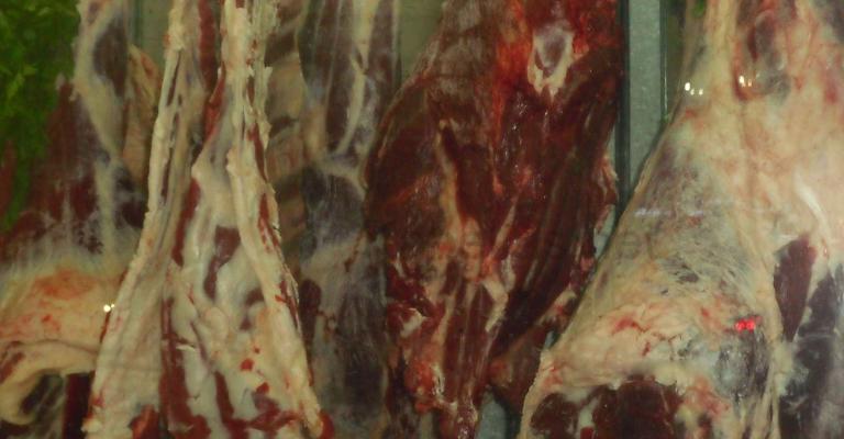 مادبا: ضبط ملحمة تبيع لحوما فاسدة