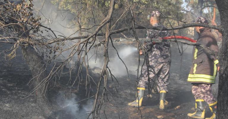 لجنة تحقيق بحريق أحراش برما