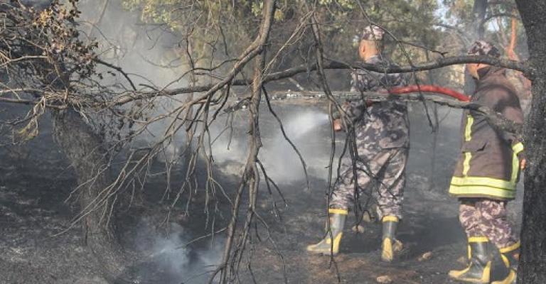 السيطرة على حريق برما.. والنيران تأتي على 4 آلاف دونم في المالح