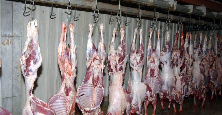 "المسالخ": استقرار أسعار اللحوم والدجاج