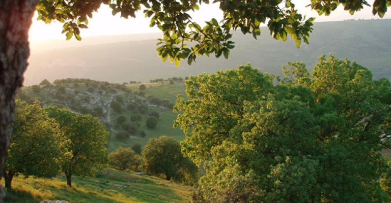 طقس لطيف والعظمى في عمّان 27