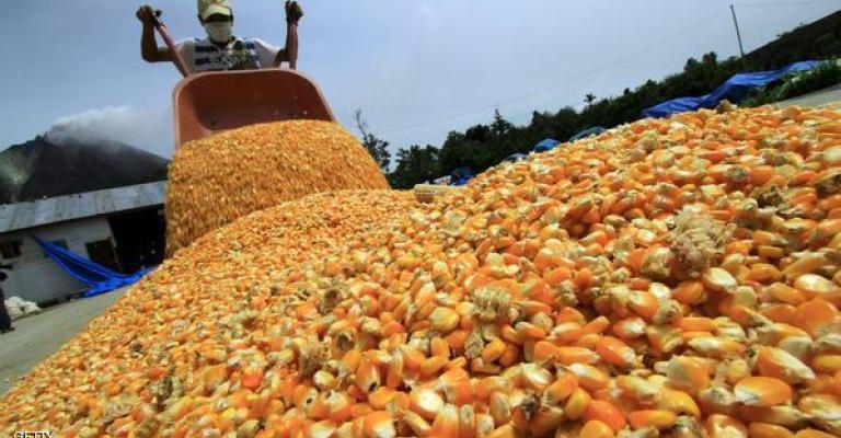 الزراعة ترفض إدخال 22 ألف طن منتجات إلى الأردن