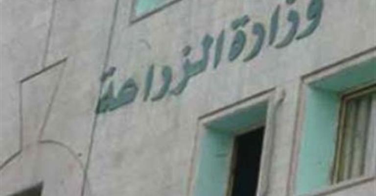 "الزراعة" تدعو المزارعين للالتزام بتعليماتها خلال موجة الحر