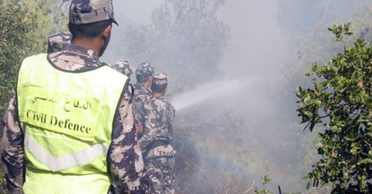 حريق أشجار حرجية وأعشاب جافة في عجلون