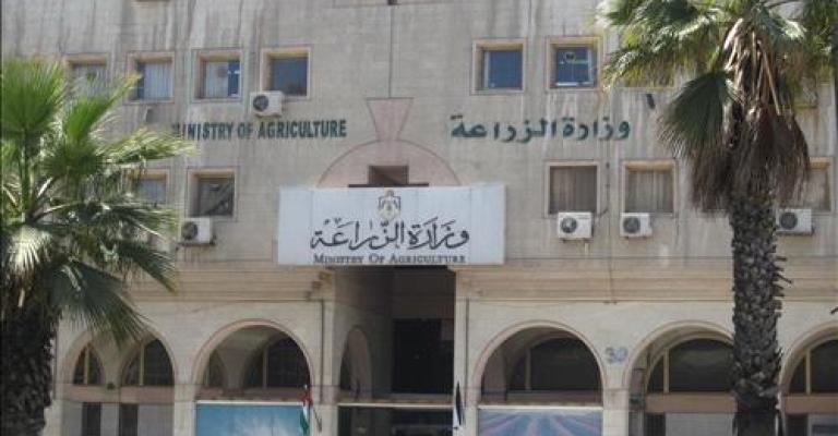 تثبيت 539 عامل مياومة في الزراعة