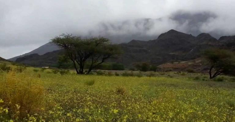 أجواء خريفية السبت