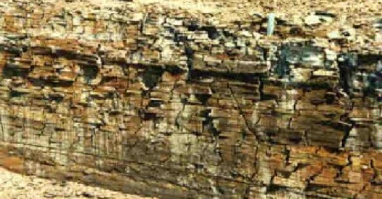 الأردن يبدأ بالتحول الموضعي للصخر الزيتي