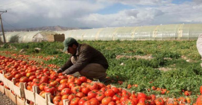 تراجع صادرات الأردن الزراعية