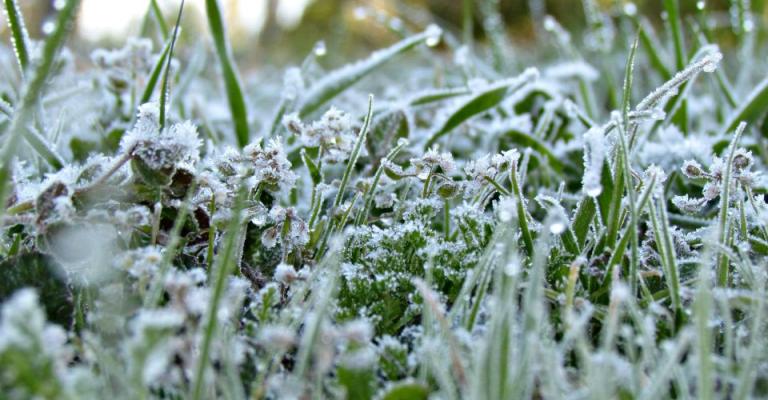 منخفض الإثنين وصقيع نهاية الأسبوع