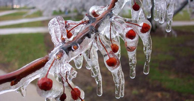 طقس بارد واحتمال لتشكل الصقيع ليلاً