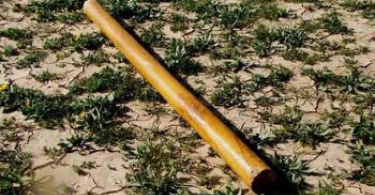 اعتداء بالعصيّ على معلم في الرمثا اعتداء بالعصيّ على معلم في الرمثا