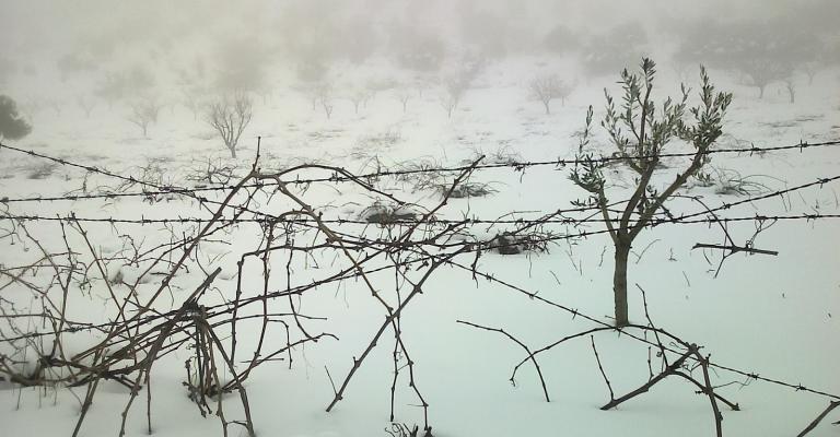 أجواء باردة وثلوج فوق المرتفعات أجواء باردة وثلوج فوق المرتفعات