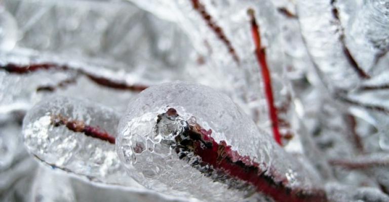 أجواء باردة وصقيع ليلاً أجواء باردة وصقيع ليلاً