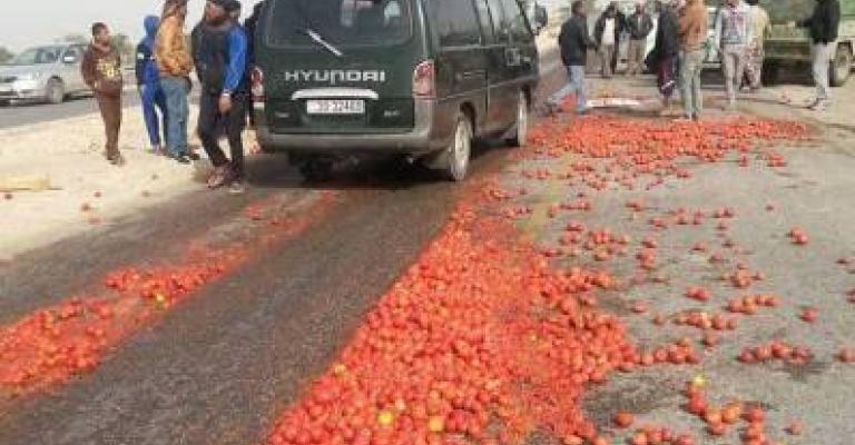 مزارعون يلقون البندورة في الشوارع بعد انخفاض أسعارها