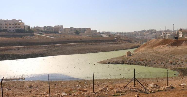 لجنة فنية لمعالجة الوضع البيئي لبركة البيبسي