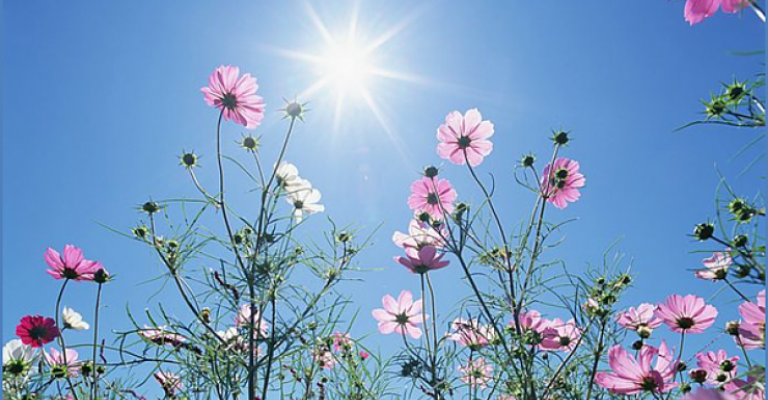 أجواء دافئة وأمطار بداية الأسبوع