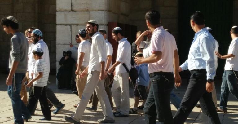 الأوقاف: صلوت تلموديّة في الأقصى الأوقاف: صلوت تلموديّة في الأقصى