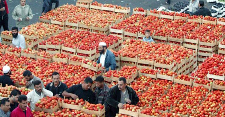 انخفاضات جديدة على أسعار الخضار