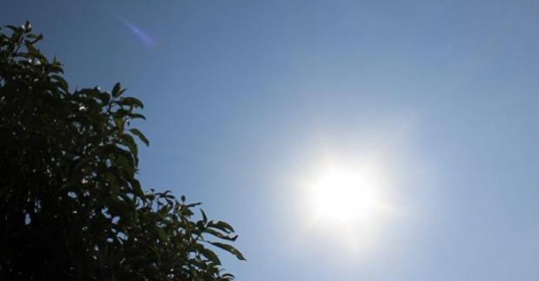 أجواء دافئة والحرارة في عمّان 27