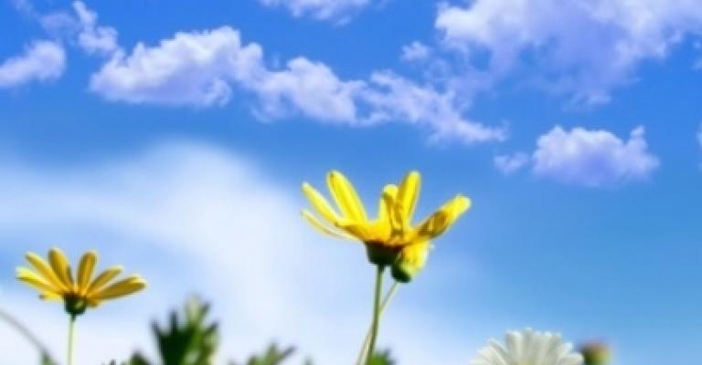 أجواء لطيفة اليوم وارتفاع الحرارة الاحد والاثنين أجواء لطيفة اليوم وارتفاع الحرارة الاحد والاثنين