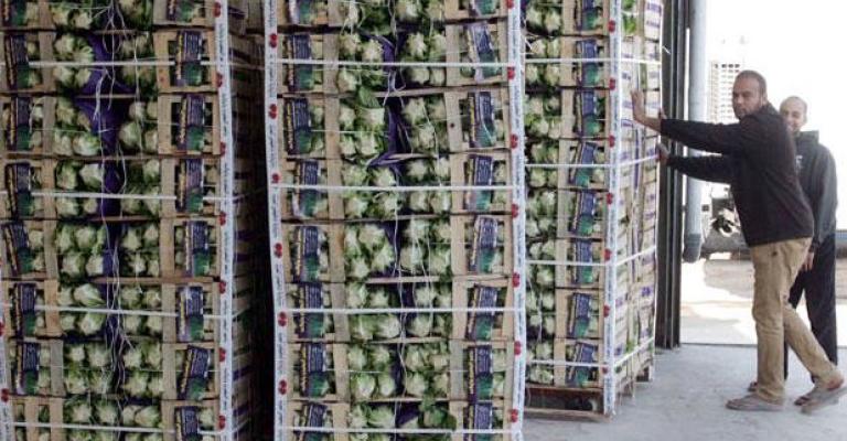 الأردن يصدر للخليج نحو 2500 طن خضار وفواكه يومياً